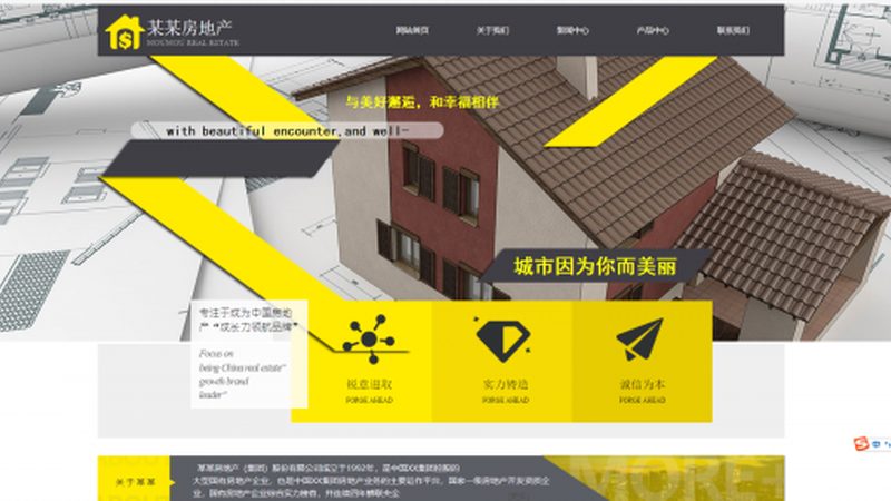 高端官网定制设计方案：揭秘背后的价值与考量**